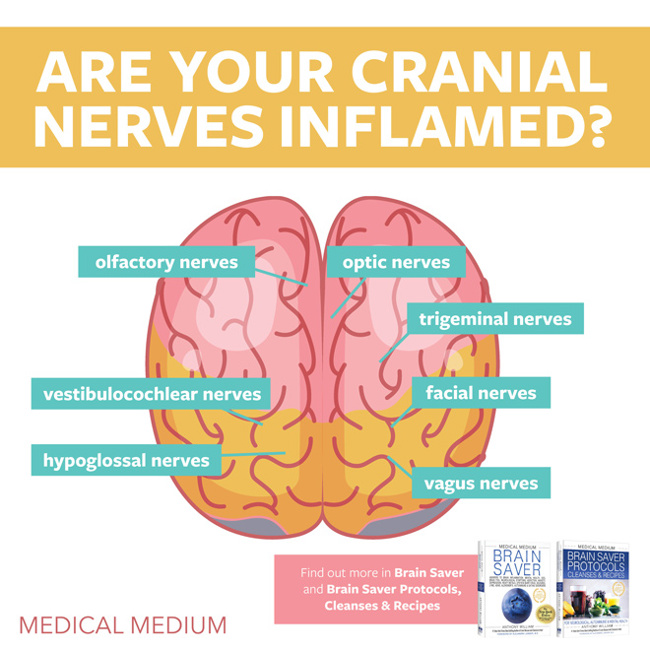 Are Your Cranial Nerves Inflamed?