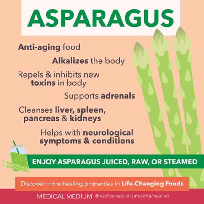 Asparagus: Anti-Aging Support