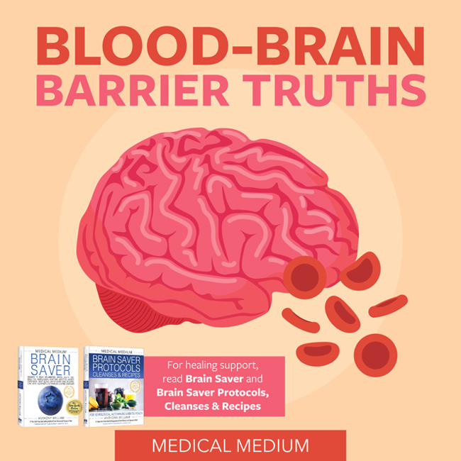 Blood-Brain Barrier Truths