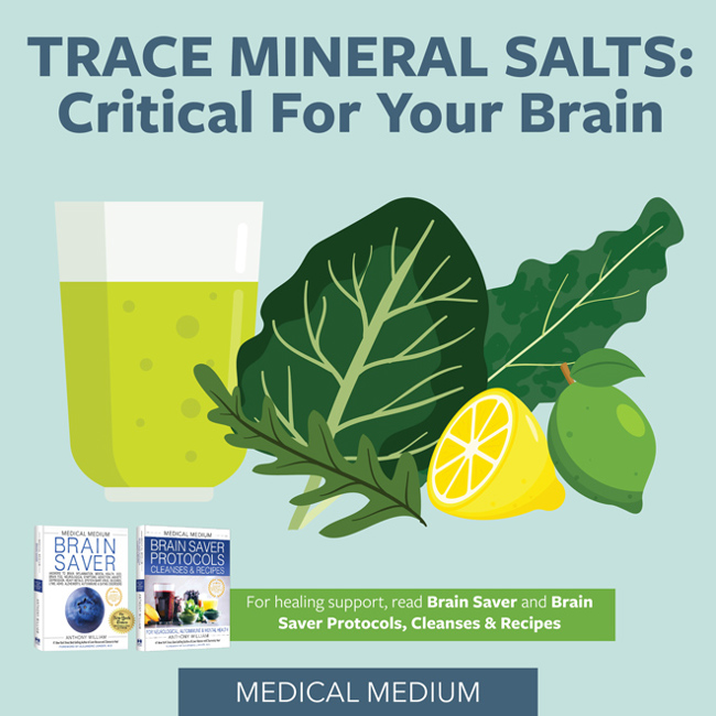 Trace Mineral Salts: Critical For Your Brain
