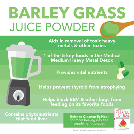 Barleygrass Juice Powder