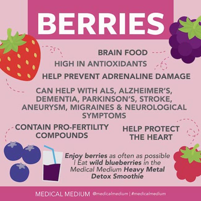 Berries: Brain Food