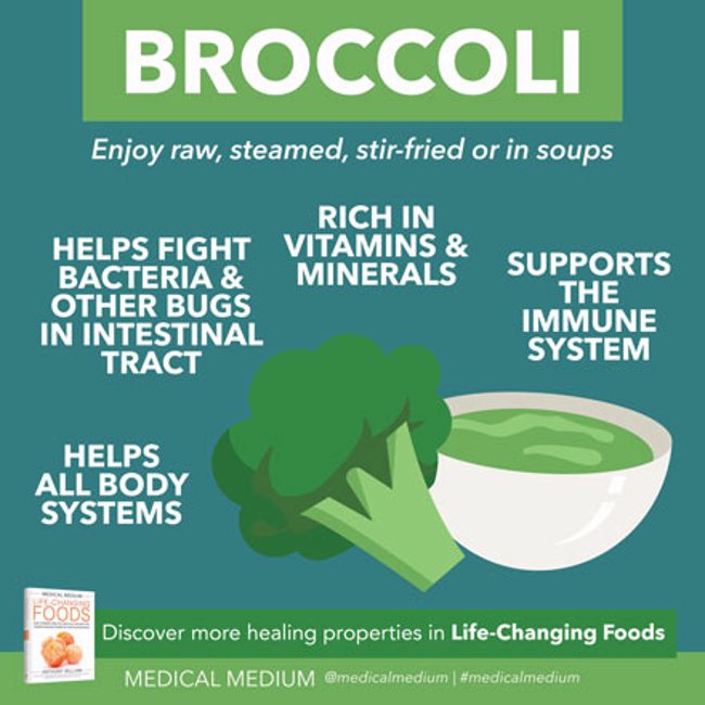 Broccoli: Nutrient All-Rounder