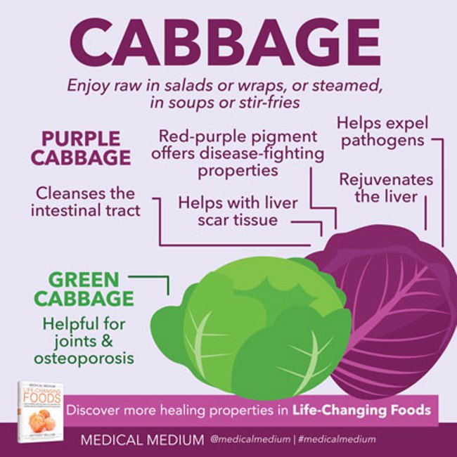 Cabbage: Healing Food