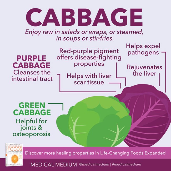 Cabbage: Healing Food