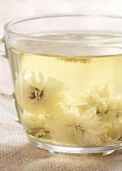 Chrysanthemum Tea