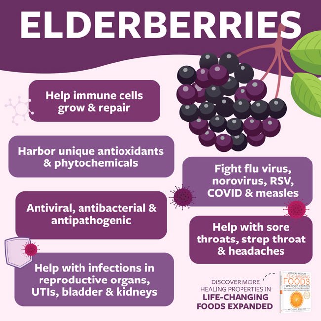 Elderberries