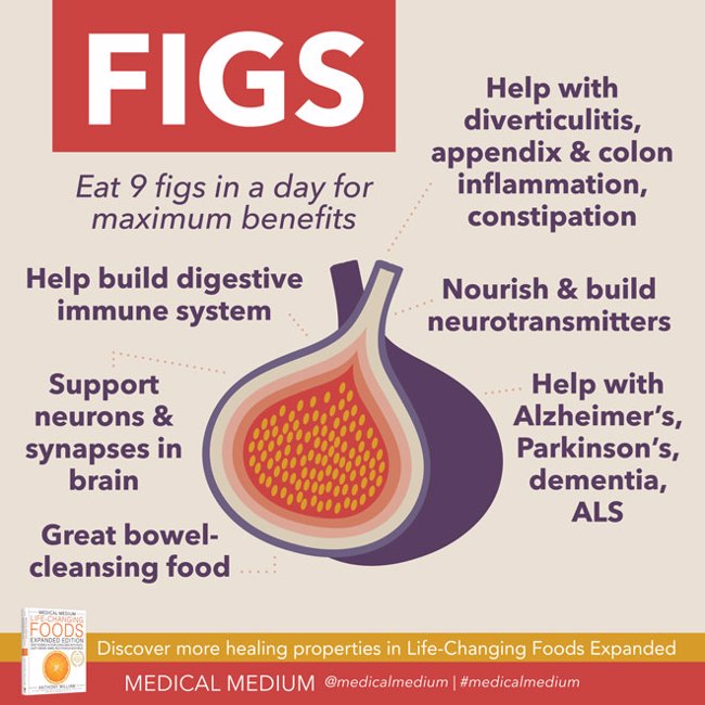 Figs: Brain & Gut Food