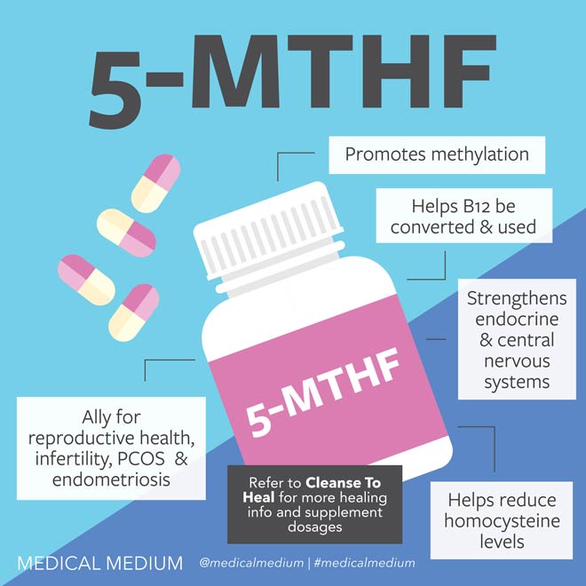 5-MTHF: B12’s Best Friend