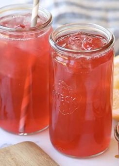 Hibiscus Lemonade 