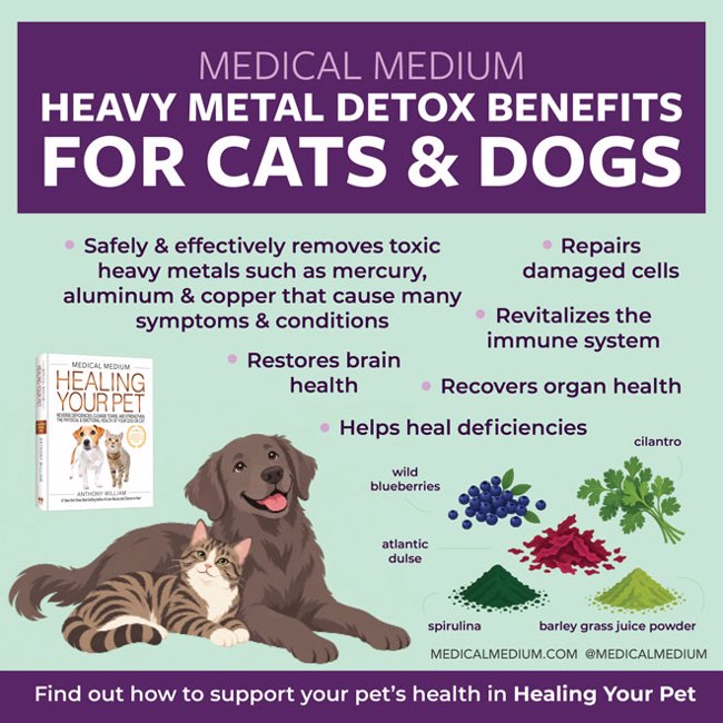 Heavy Metal Detox Benefits For Cats and Dogs