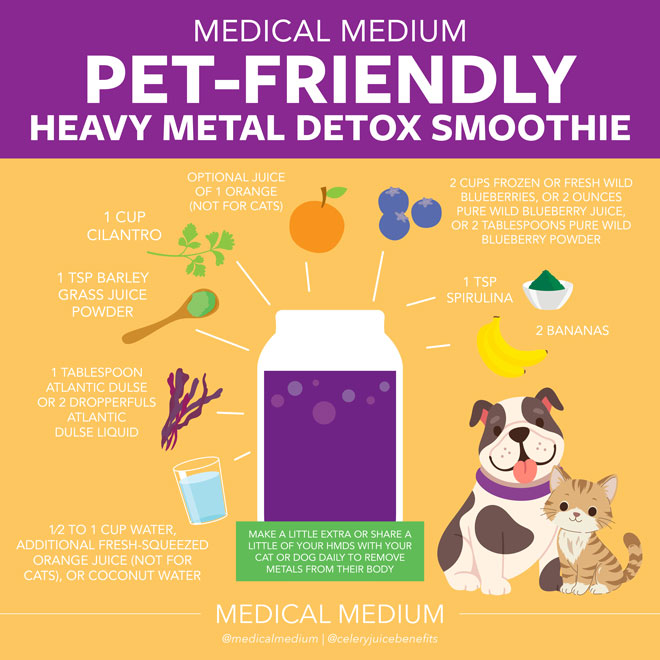 HMDS For Cats and Dogs