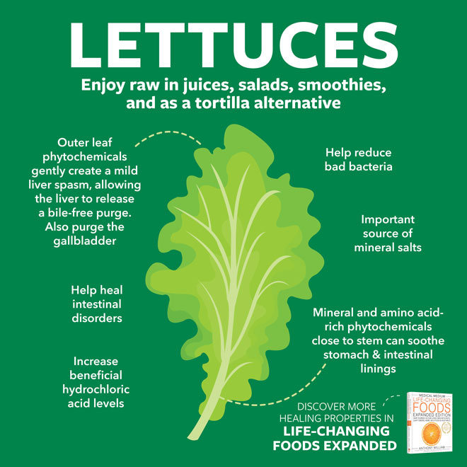 Lettuces