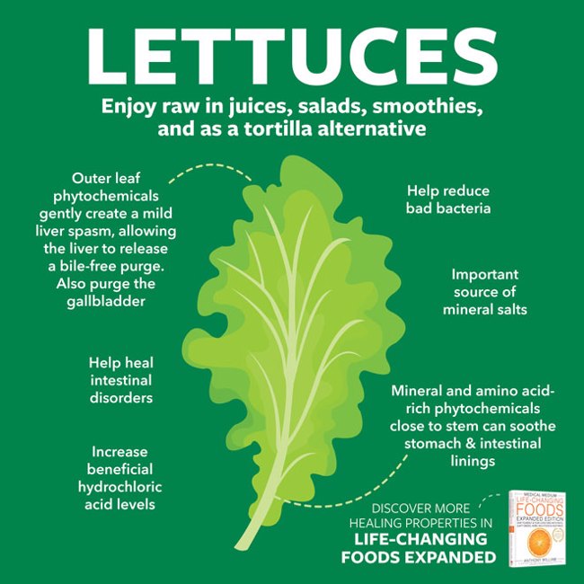 Lettuces