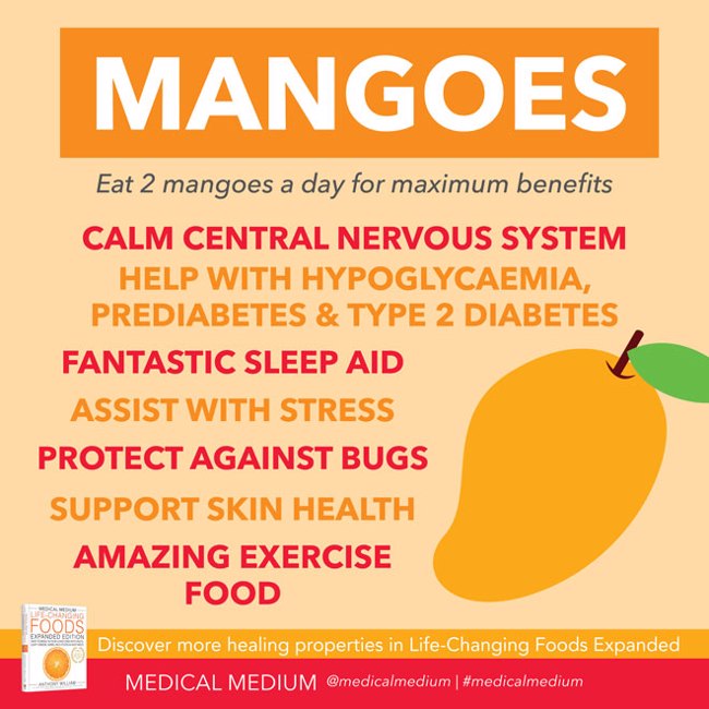 Mango: Stress & Sleep Aid