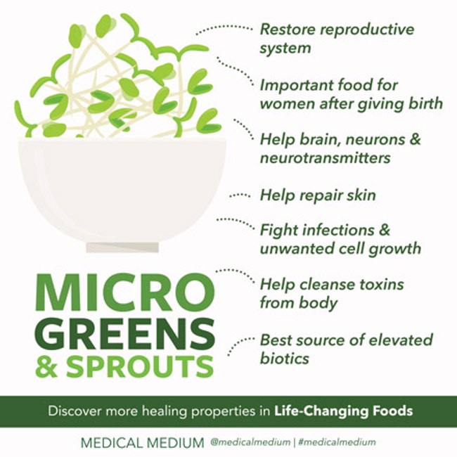 Sprouts & Microgreens: Revitalizing Foods