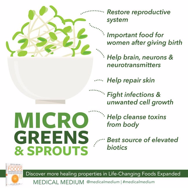 Sprouts & Microgreens: Revitalizing Foods