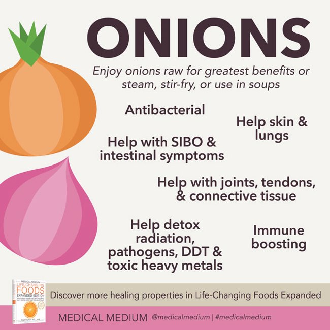 Onions: Antibacterial Weapon