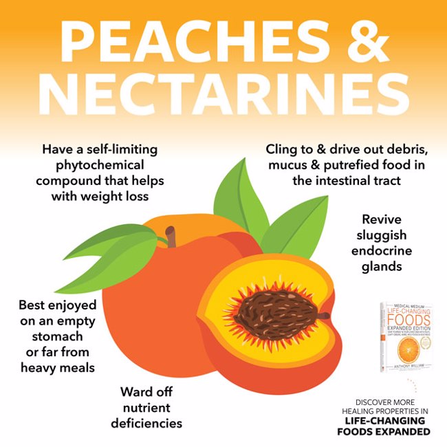 Peaches & Nectarines