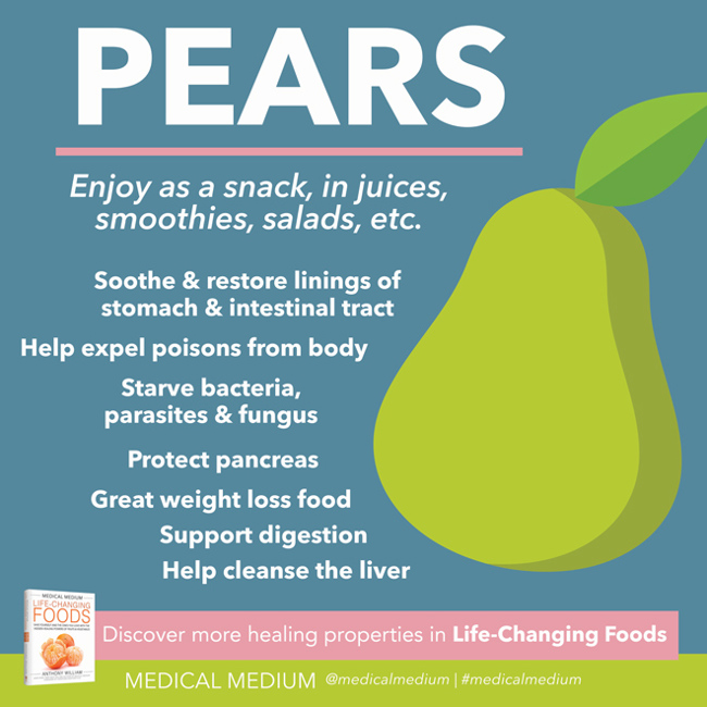 Pears: Pancreas & Digestion Support