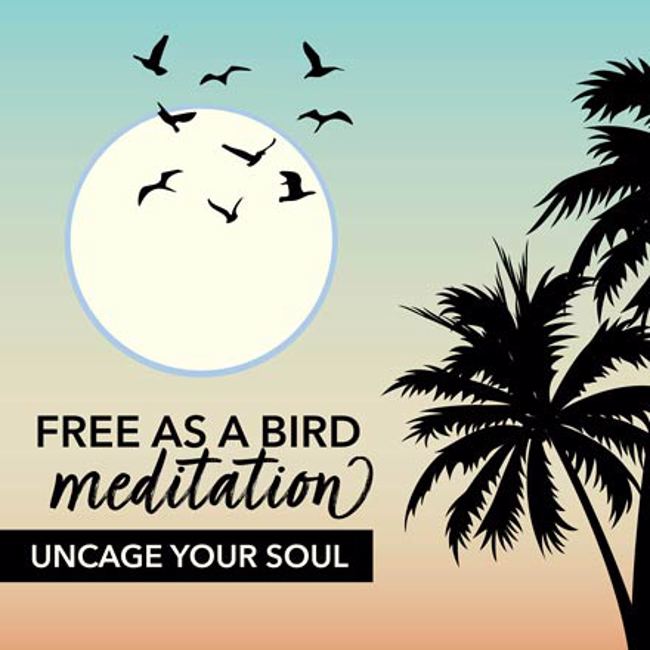 Free As a Bird Meditation