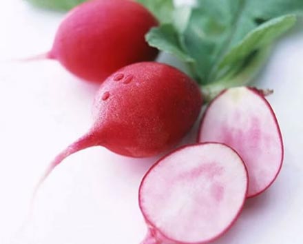 Radishes