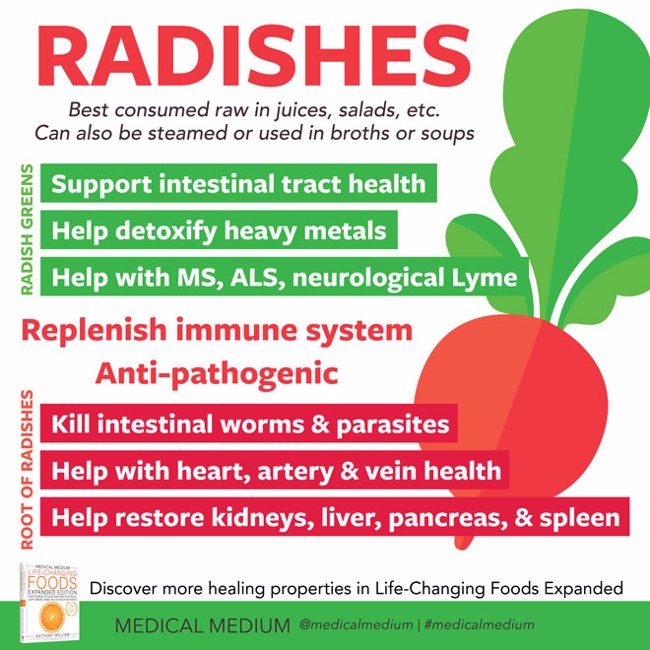 Radishes: Healing Food