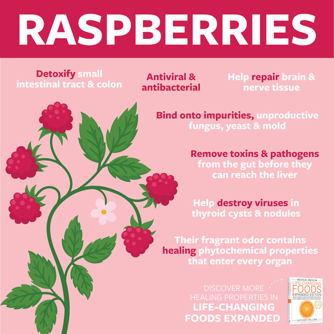 Raspberries