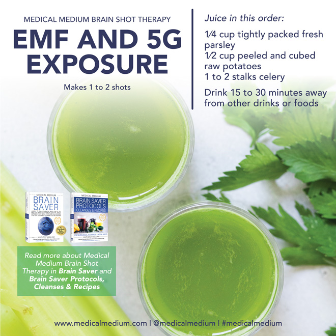EMF And 5G Exposure