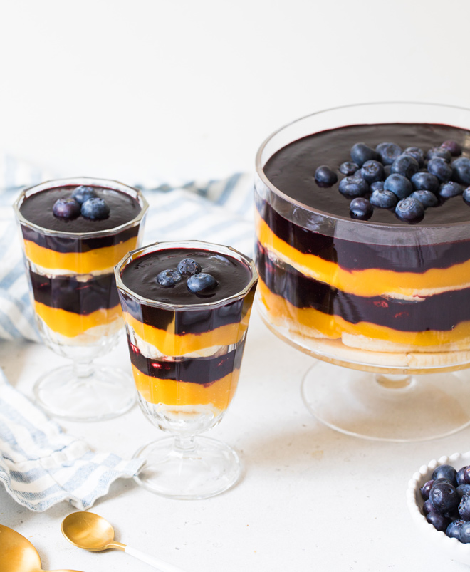 Banana, Mango & Wild Blueberry Trifle