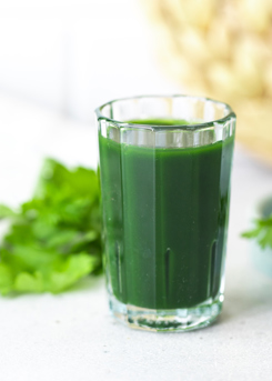 Cilantro Shot