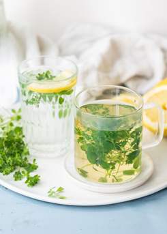 Fresh Oregano Tea & Water