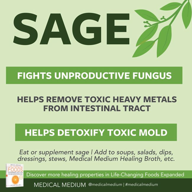 Sage: Fungus Fighter