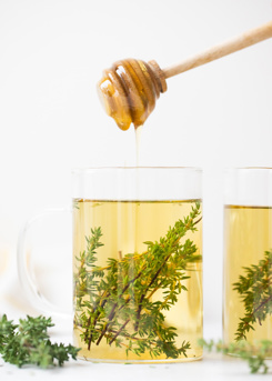 Thyme Tea Shock Therapy