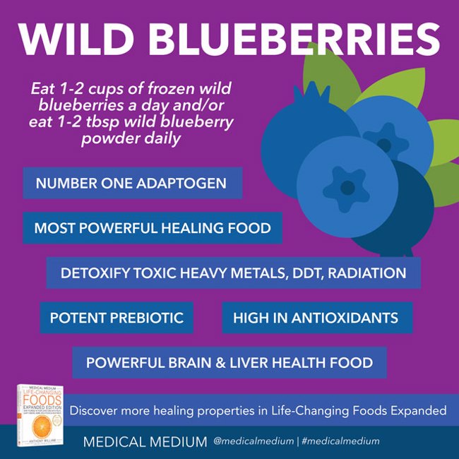 Wild Blueberries: Resurrection Food