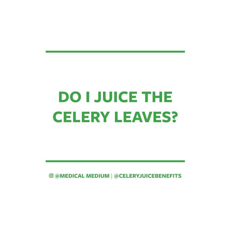 Can I juice the celery leaves?