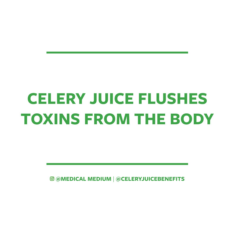 Celery juice flushes toxins from the body