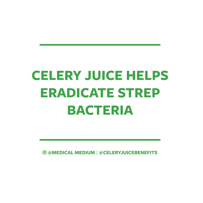  Celery juice helps eradicate strep bacteria