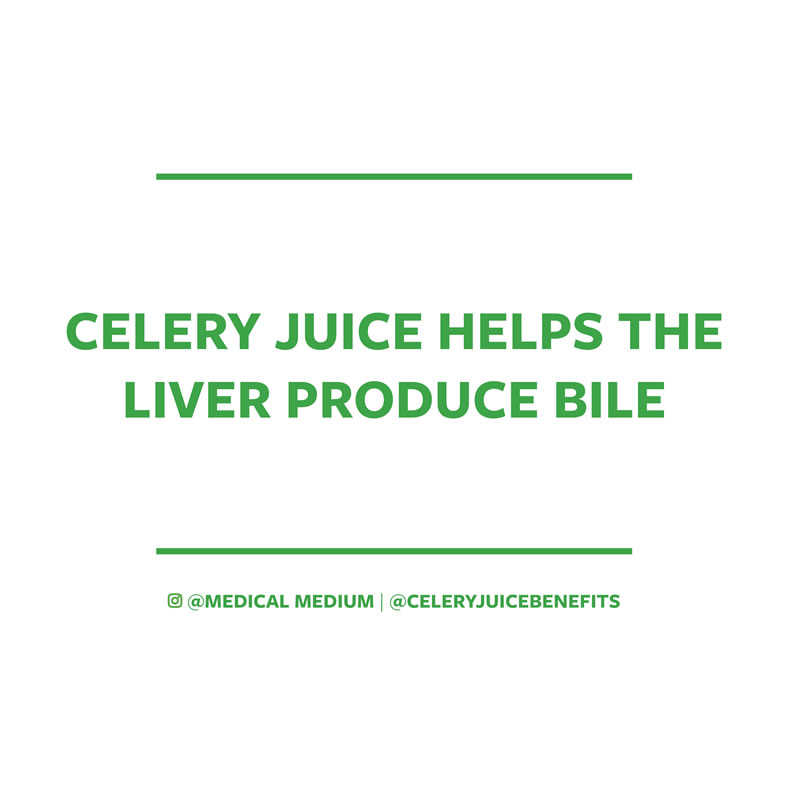 Celery juice helps the liver produce bile 