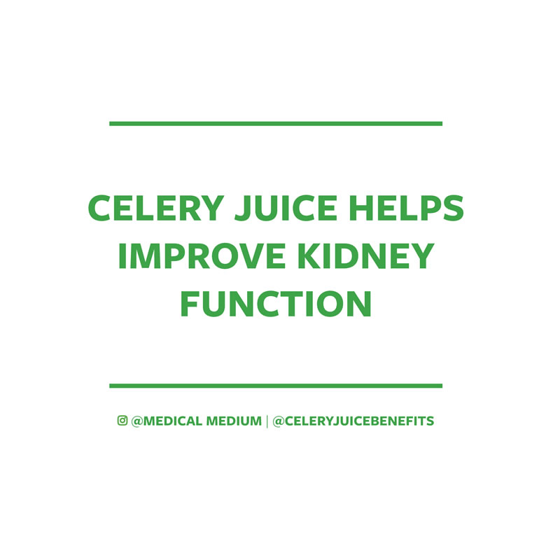  Celery juice helps improve kidney function
