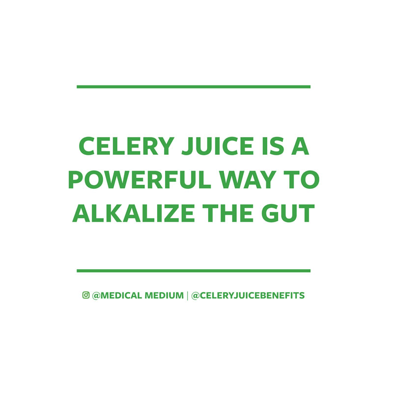 Celery juice is a powerful way to alkalize the gut