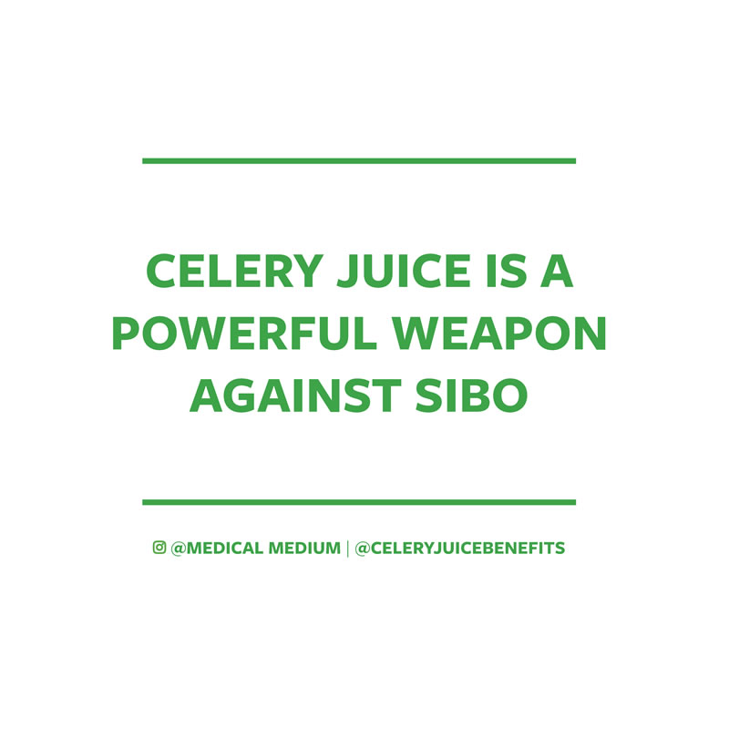 Celery juice is a powerful weapon against SIBO