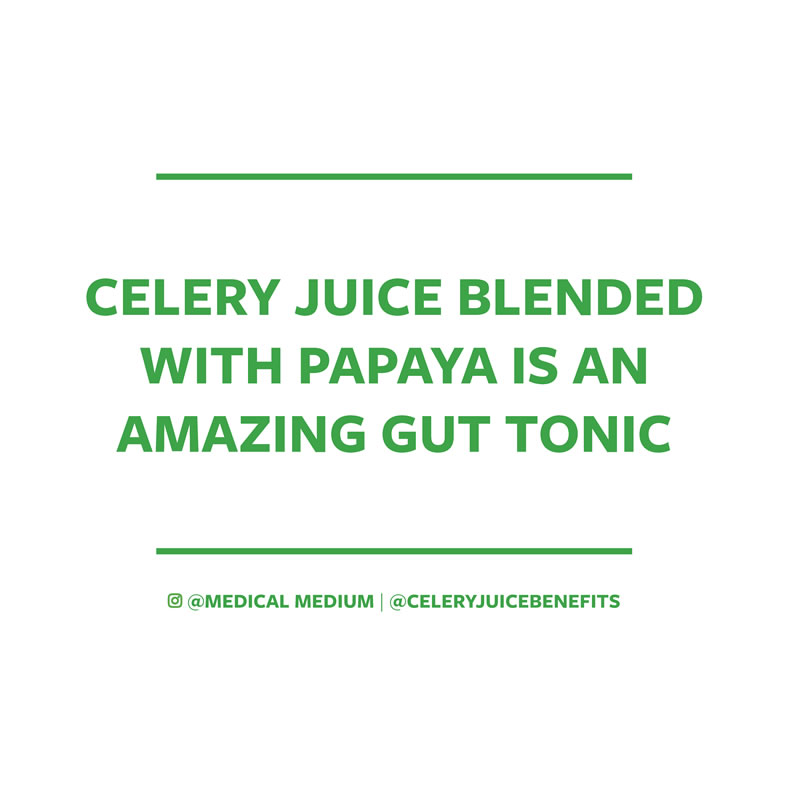 Celery juice blended with papaya is an amazing gut tonic