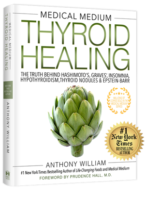 Thyroid Healing The Truth Behind Hashimoto's, Graves', Insomnia, Hypothyroidism, Thyroid Nodules & Epstein-Barr by Anthony William, Medical Medium