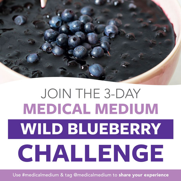 Blueberry Challenge